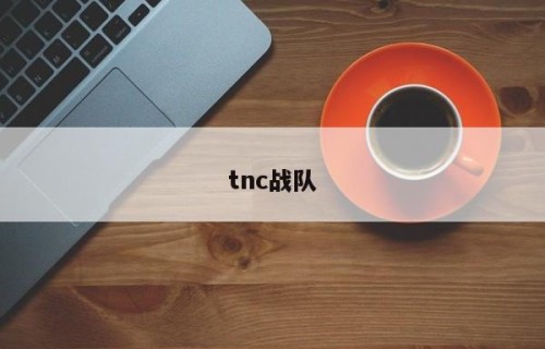 tnc战队