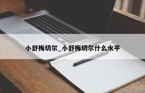 小舒梅切尔_小舒梅切尔什么水平