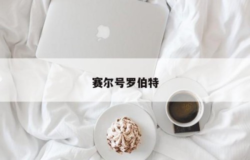 赛尔号罗伯特