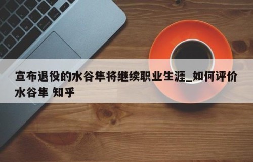 宣布退役的水谷隼将继续职业生涯_如何评价水谷隼 知乎