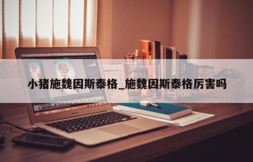 小猪施魏因斯泰格_施魏因斯泰格厉害吗