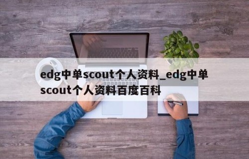 edg中单scout个人资料_edg中单scout个人资料百度百科