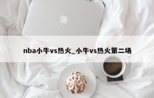 nba小牛vs热火_小牛vs热火第二场