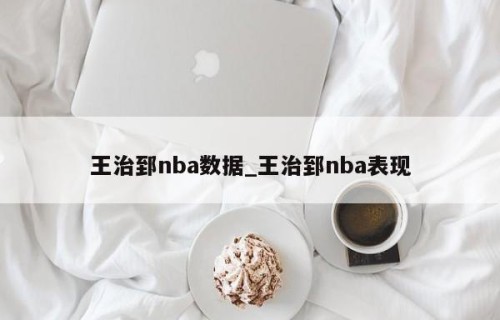 王治郅nba数据_王治郅nba表现