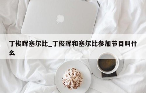 丁俊晖塞尔比_丁俊晖和塞尔比参加节目叫什么