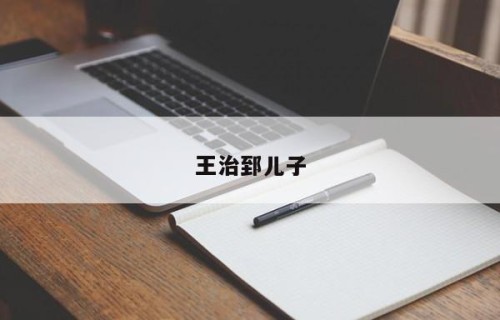 王治郅儿子