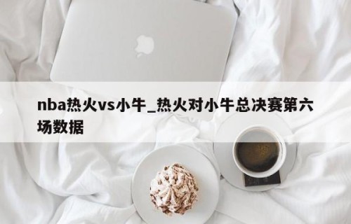 nba热火vs小牛_热火对小牛总决赛第六场数据