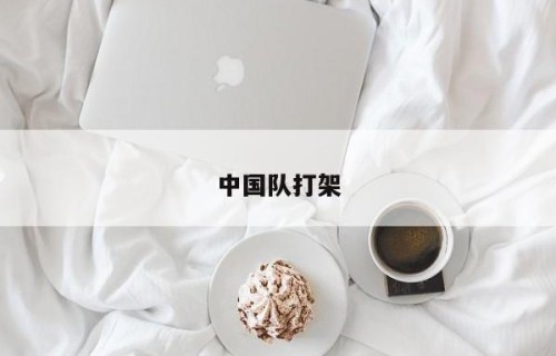中国队打架