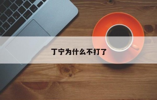 丁宁为什么不打了