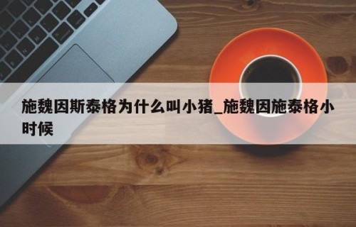 施魏因斯泰格为什么叫小猪_施魏因施泰格小时候