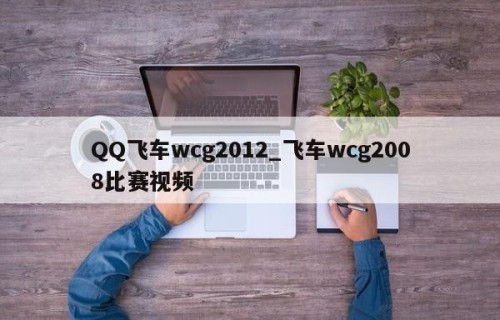 QQ飞车wcg2012_飞车wcg2008比赛视频