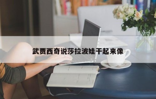 武贾西奇说莎拉波娃干起来像