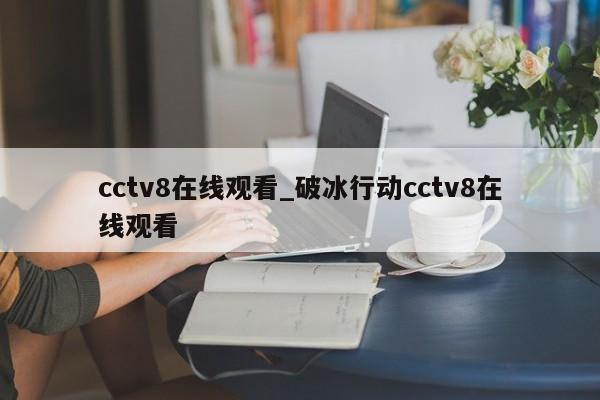 cctv8在线观看_破冰行动cctv8在线观看