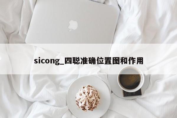 sicong_四聪准确位置图和作用