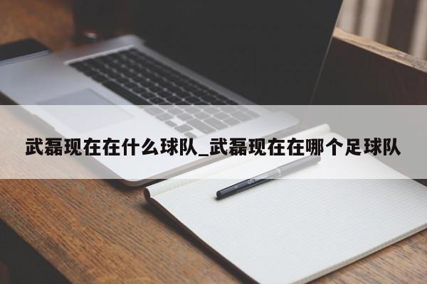 武磊现在在什么球队_武磊现在在哪个足球队
