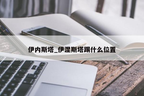 伊内斯塔_伊涅斯塔踢什么位置