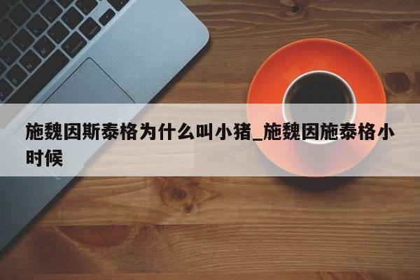 施魏因斯泰格为什么叫小猪_施魏因施泰格小时候