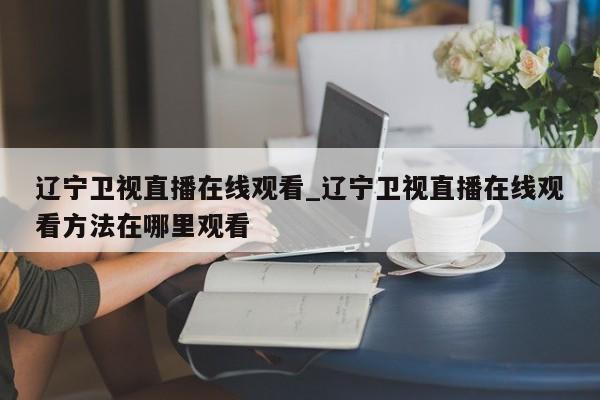 辽宁卫视直播在线观看_辽宁卫视直播在线观看方法在哪里观看