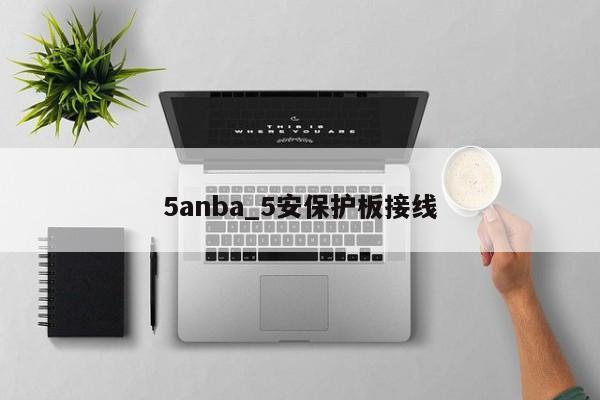 5anba_5安保护板接线