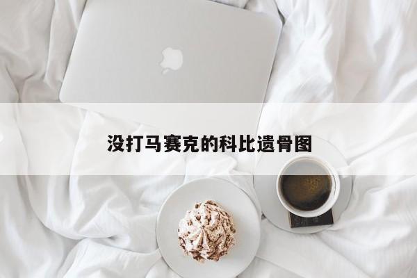 没打马赛克的科比遗骨图