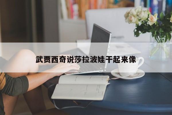 武贾西奇说莎拉波娃干起来像